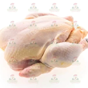 poulet_de_chair_midoum