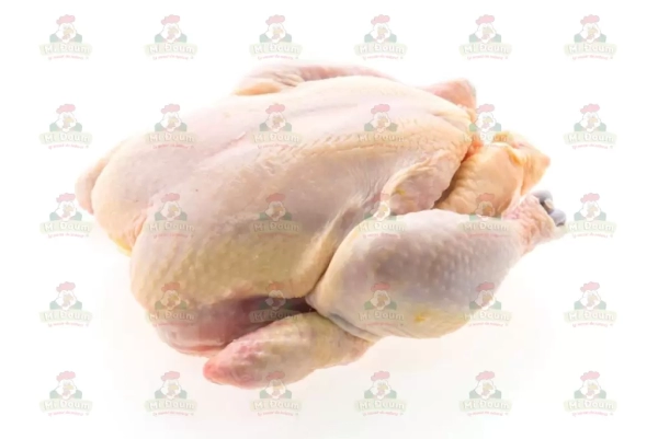 poulet_de_chair_midoum